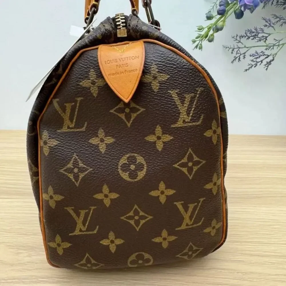 Louis Vuitton brand louis